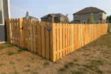 5' tall cedar shadow box fence