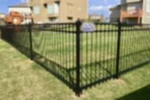 Ornamental Montage Majestic steel fence