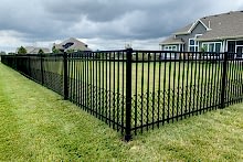 Ornamental Montage Majestic steel fence with 2' tall black vinyl chain link puppy border