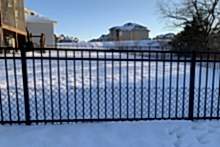 Ornamental Montage Majestic steel fence with 2' tall black vinyl chain link puppy border