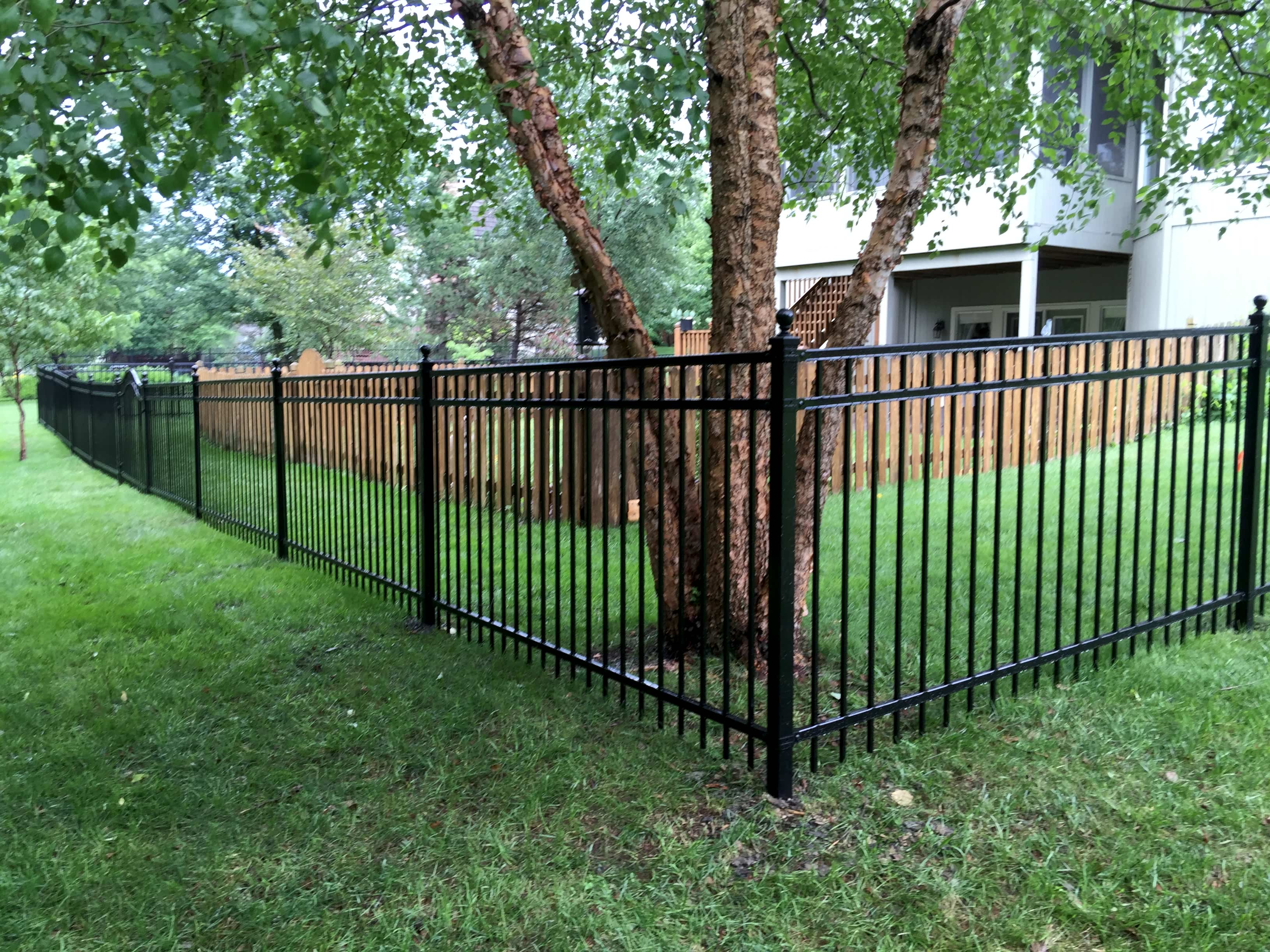 5' Ornamental Steel
